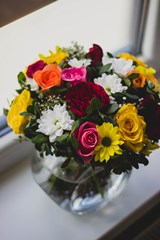 Multi_Color_Roses